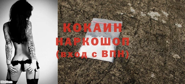 стафф Арсеньев