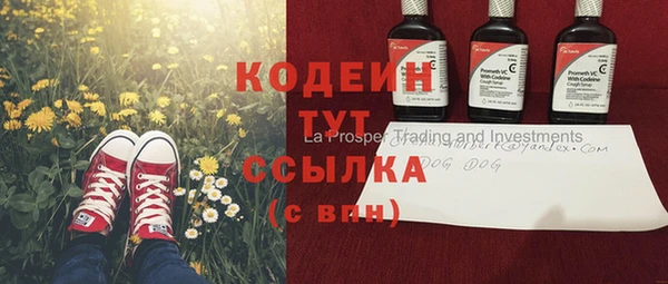 стафф Арсеньев