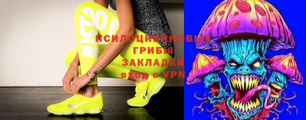 соль курить ск Алзамай
